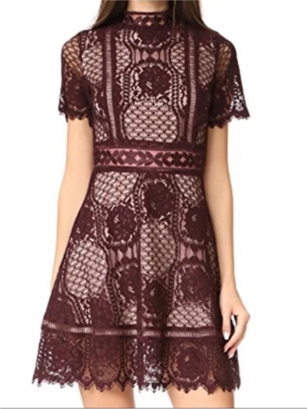 BB Dakota Burgundy plum purple party Lace Fit & Flare Mini Dress 4 cream holiday